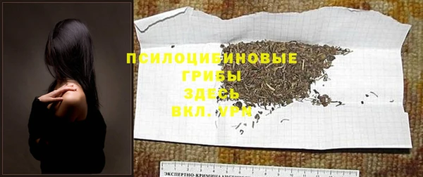 2c-b Вязьма