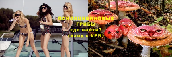 2c-b Вязьма