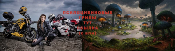 2c-b Вязьма